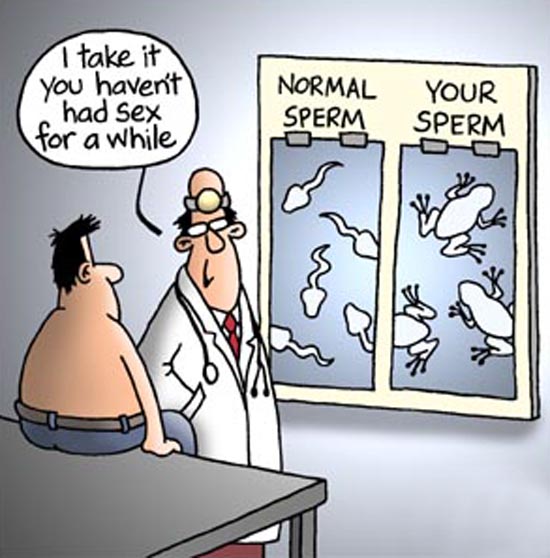 spermtest8ksz7nq.jpg